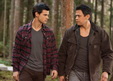 Imagen 44