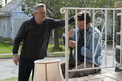 Imagen 9
